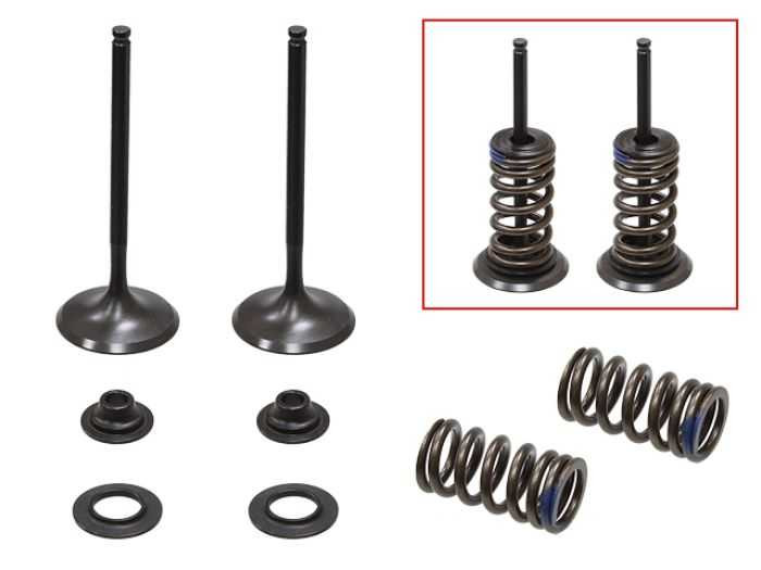 Psychic Intake Valve Kit XU-09509IK