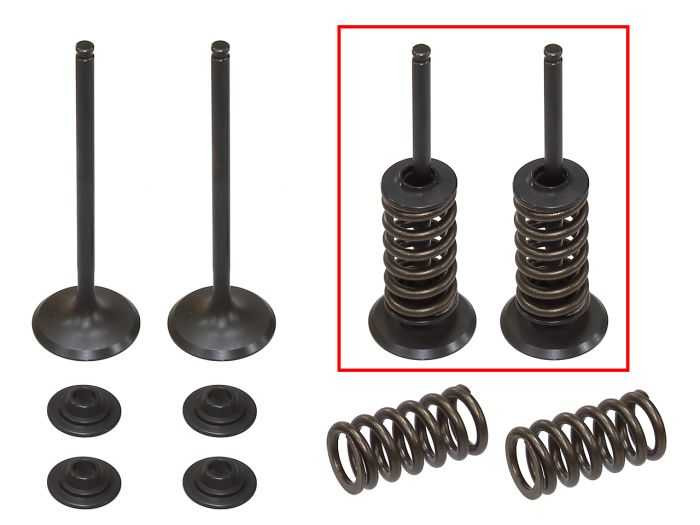 Psychic Intake Valve Kit XU-09551IK