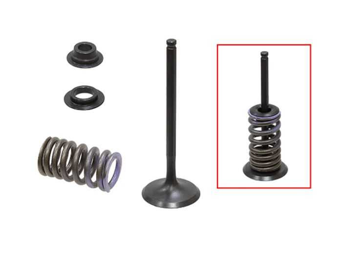 Psychic Intake Valve Kit XU-09544IK