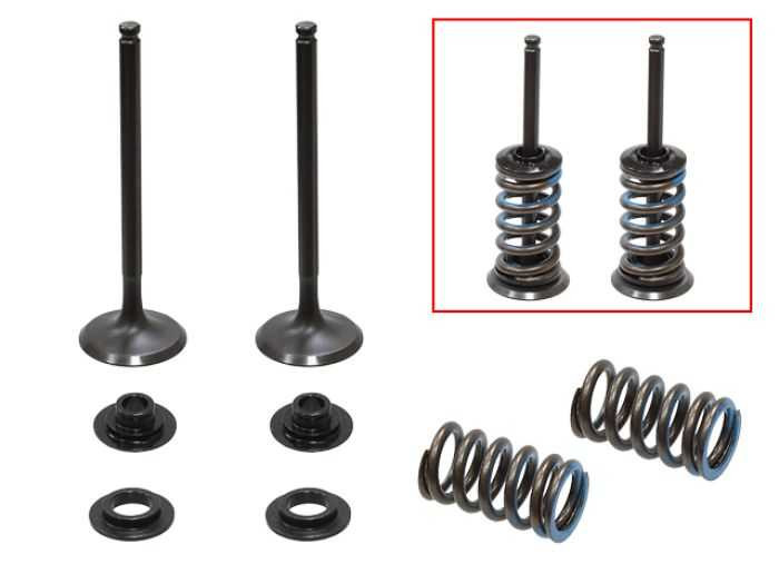 Psychic Exhaust Valve Kit XU-09556EK