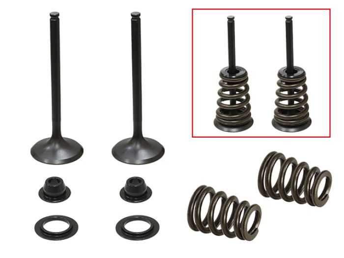 Psychic Intake Valve Kit XU-09549IK
