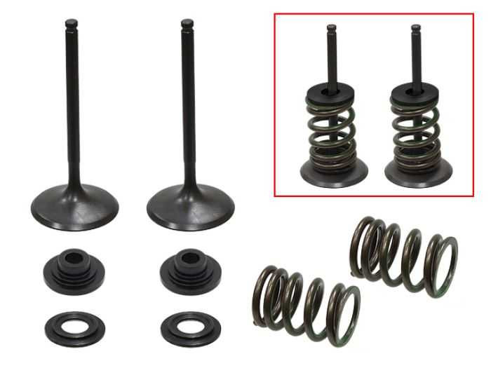 Psychic Intake Valve Kit XU-09536IK