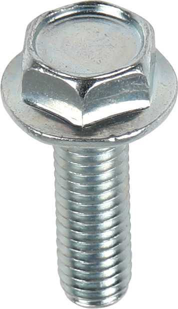 BOLT 10Mm Hex Head Flange Bolts 6X1.0X25Mm 10/Pk 023-10625