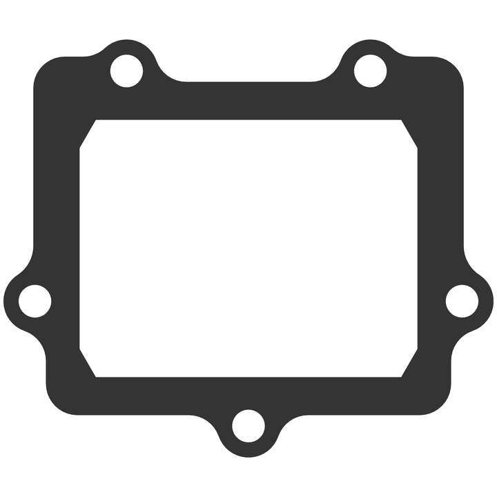 MOTO TASSINARI Vforce3 Gasket G307