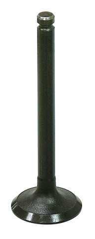 BRONCO Exhaust Valve AU-09211E