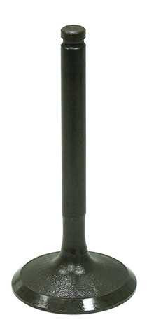 BRONCO Intake Valve AU-09207I
