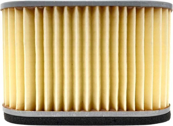 EMGO Air Filter 12-94310