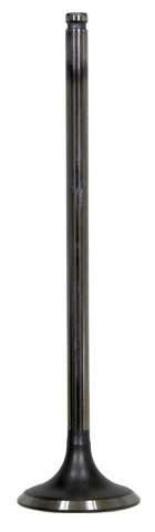 BRONCO Intake Valve AU-09192I