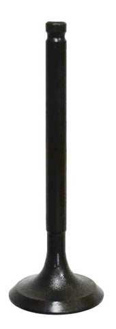 BRONCO Intake Valve AU-09163I