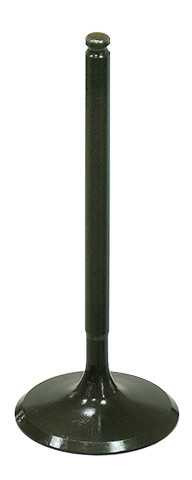 BRONCO Intake Valve AU-09203I