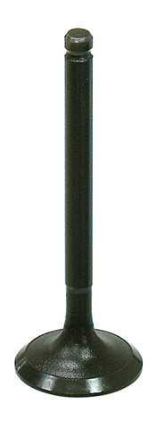 BRONCO Intake Valve AU-09212I