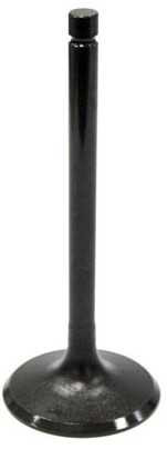 BRONCO Intake Valve AU-09028I