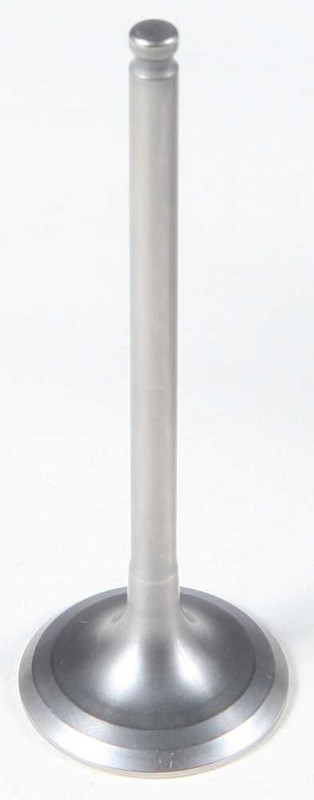 KPMI Intake Valve (Center) 80-80215T