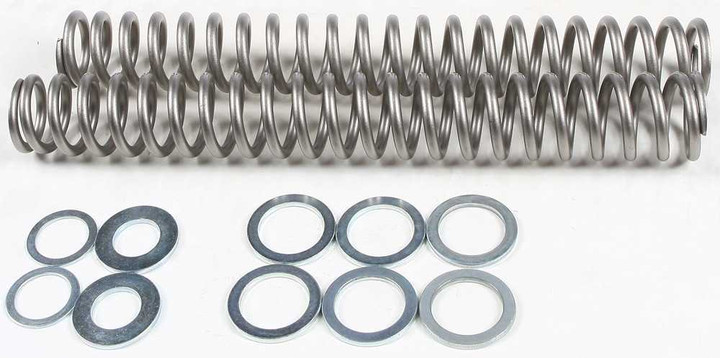 RACE TECH Fork Spring 1.10Kg FRSP S4031110