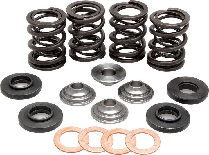 KPMI Racing Valve Spring Kit 96-96000