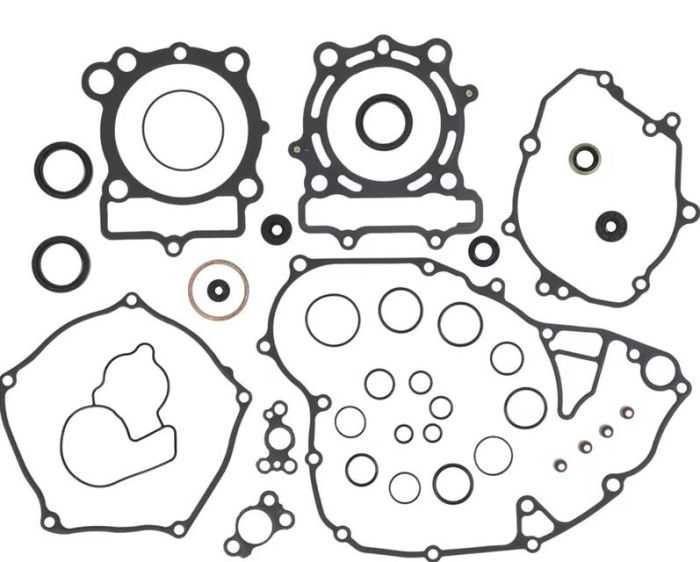 VERTEX 8110073 Complete Gasket Kit With Seals