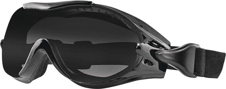 Bobster Phoenix Otg Sunglasses BPX001