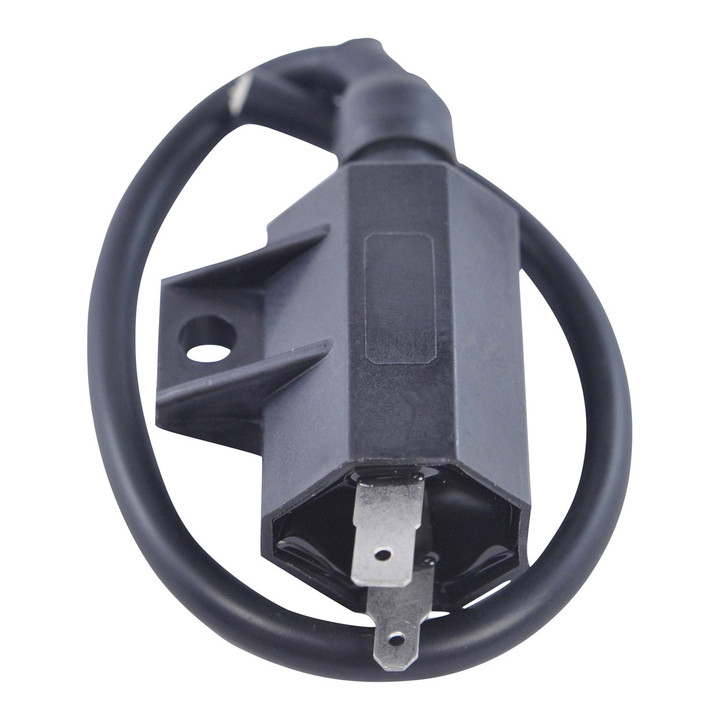 RM Stator External Ignition Coil RM06030