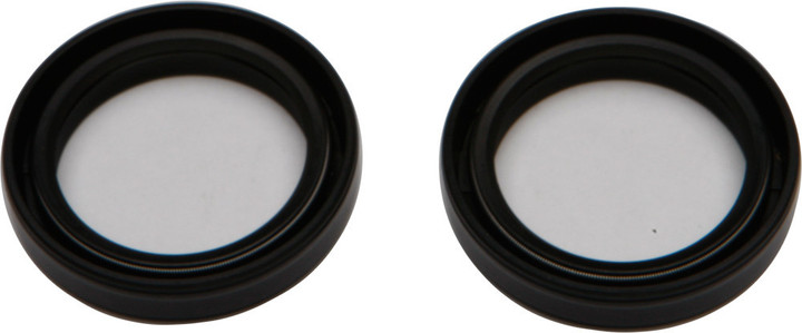 All Balls Fork Seal Kit 55-160