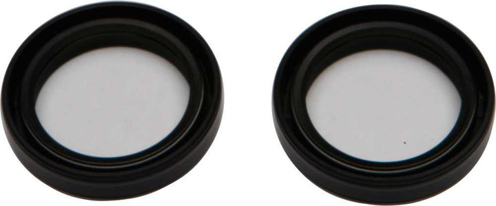 All Balls Fork Seal Kit 55-160