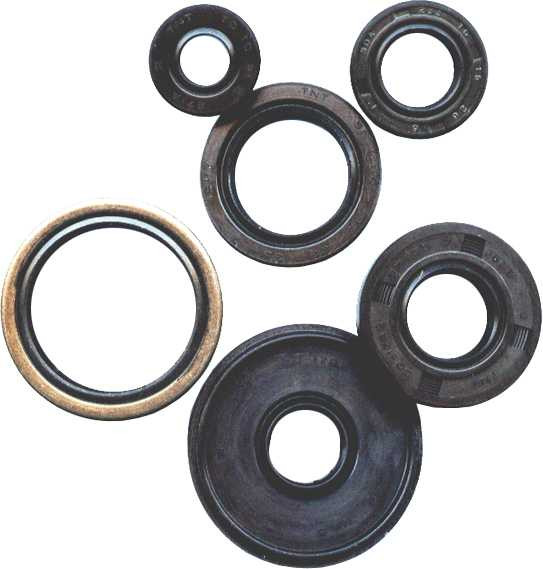 Vertex Oil Seal Set 822278