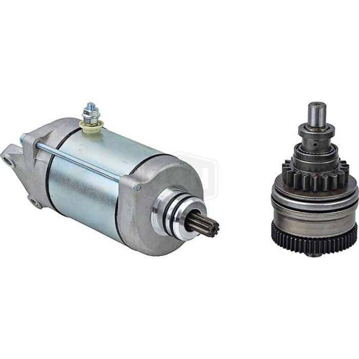WILD BOAR AUDIO Starter 410-54282