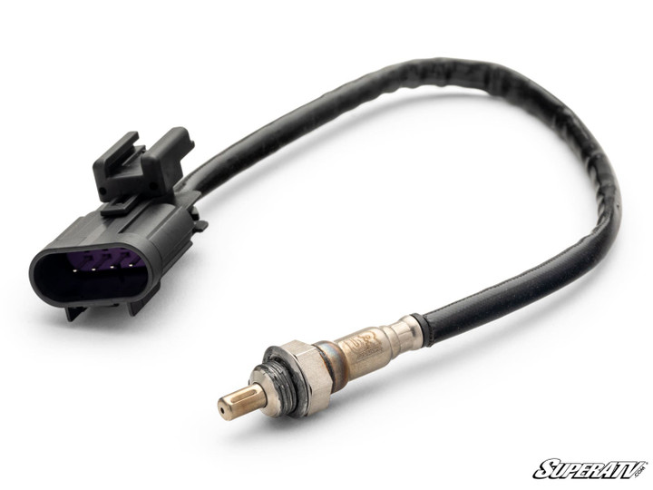 Up & Running Polaris General O2 Sensor -