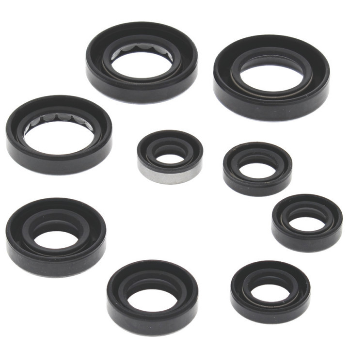 QuadBoss 81-83 Honda ATC200 Oil Seal Set 564295