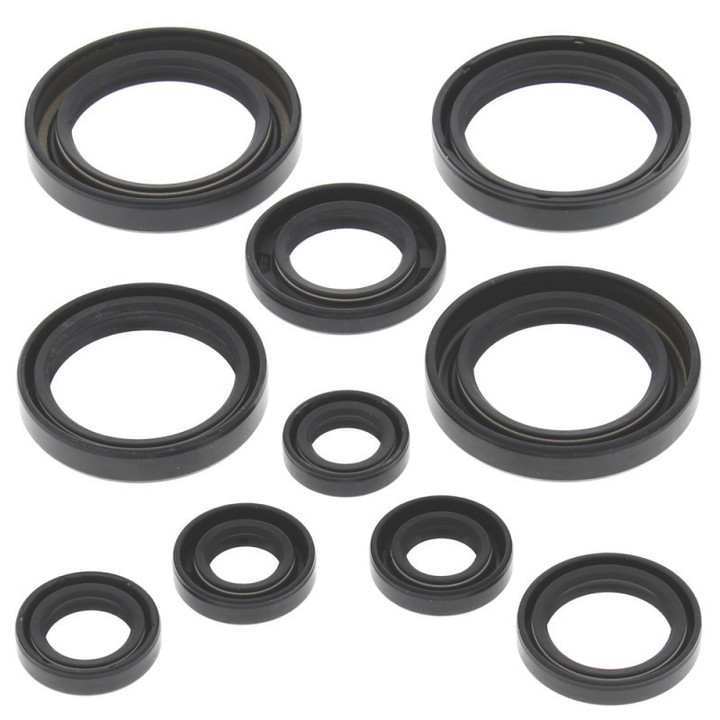 QuadBoss Oil Seal Set 564139