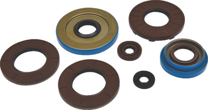 QuadBoss Oil Seal Set 564594