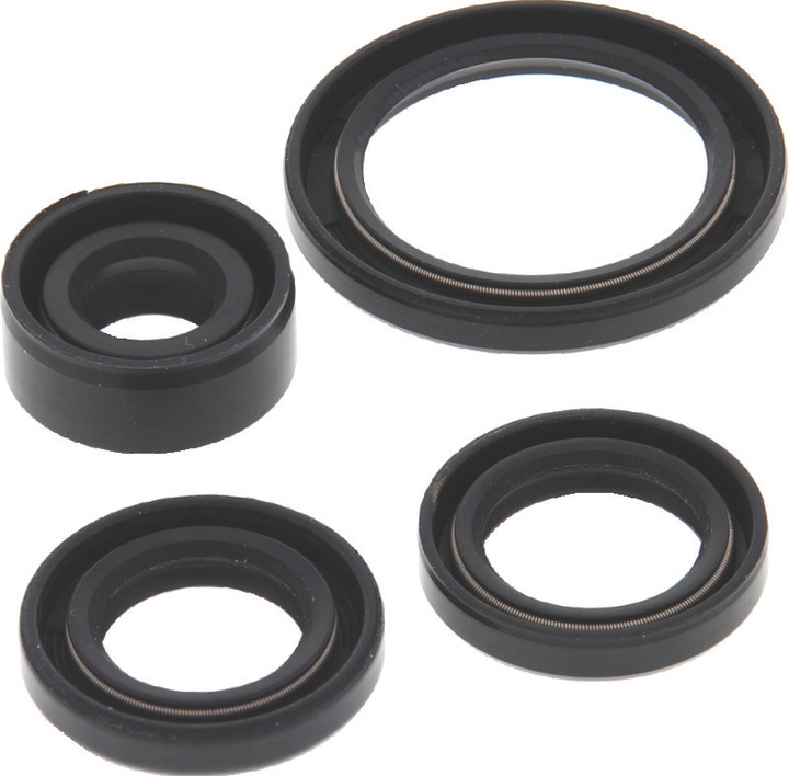 QuadBoss Oil Seal Set 564399
