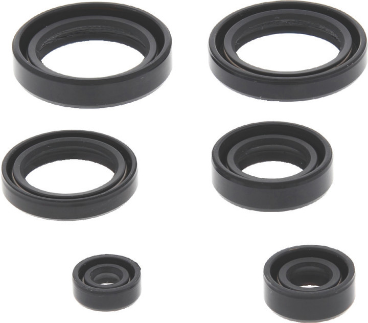 QuadBoss Oil Seal Set 564398