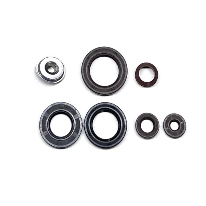 Can-Am Outlander 850 Complete Engine Seal Kit