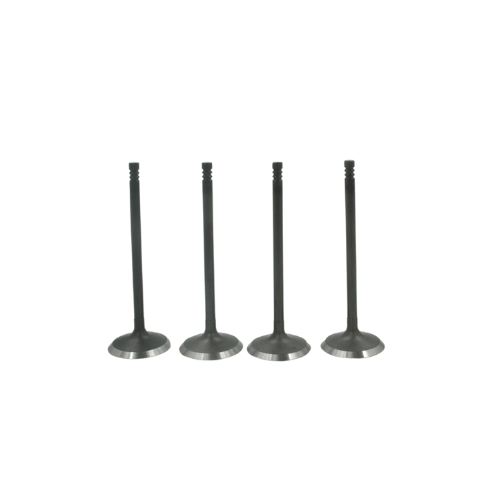 Can-Am 2011-2020 Commander 800 Exhaust Valve Kit