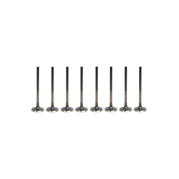 Kawasaki 2020-2026 STX 160 Jet Ski Exhaust Valve Kit