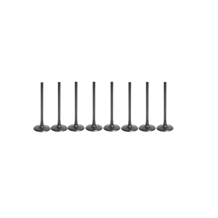 Kawasaki 2017-2020 SX-R 160 Jet Ski Intake Valves Kit