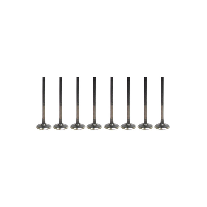 Kawasaki 2024 SX-R 160 Jet Ski Exhaust Valve Kit