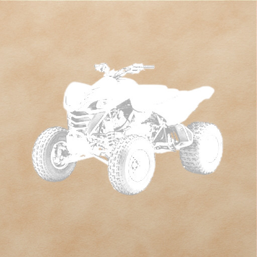 Kawasaki KFX700 Exhaust Valve Kit