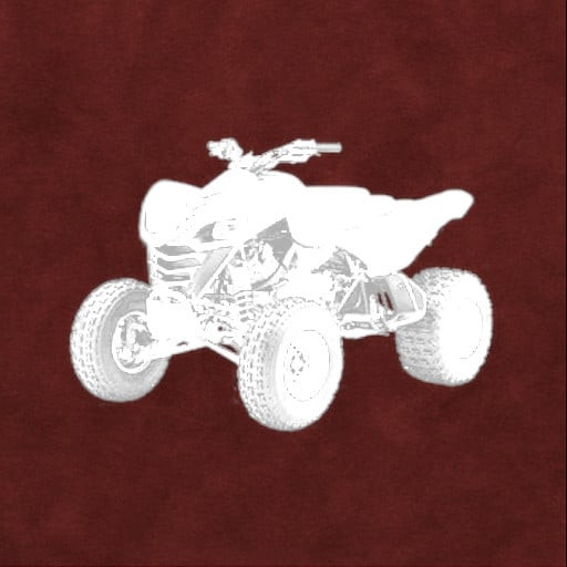 Kawasaki KFX700 Top End Refresh Kit