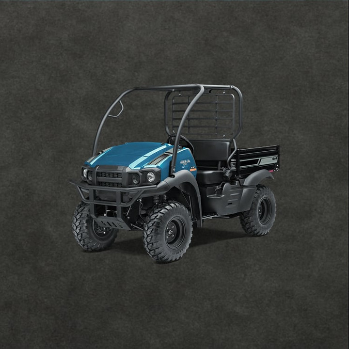 Kawasaki Mule SX KAF400 Intake Valve