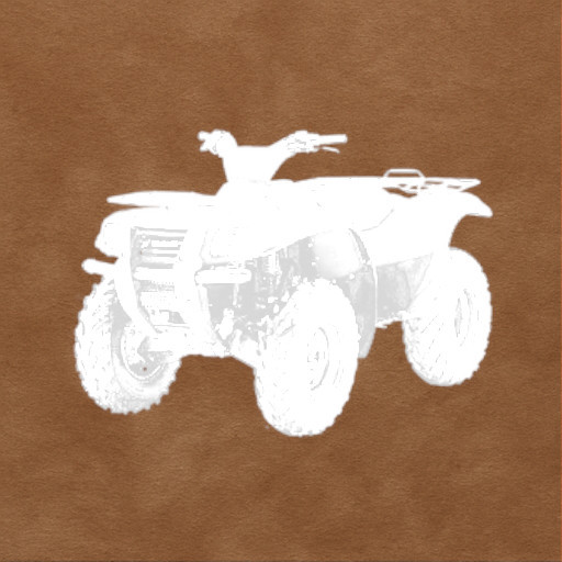 Kawasaki Prairie 700 KVF700 Engine Refresh Kit