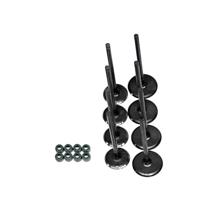 Kawasaki Teryx KRX 1000 Complete Valve Kit (2020-2025 Models)