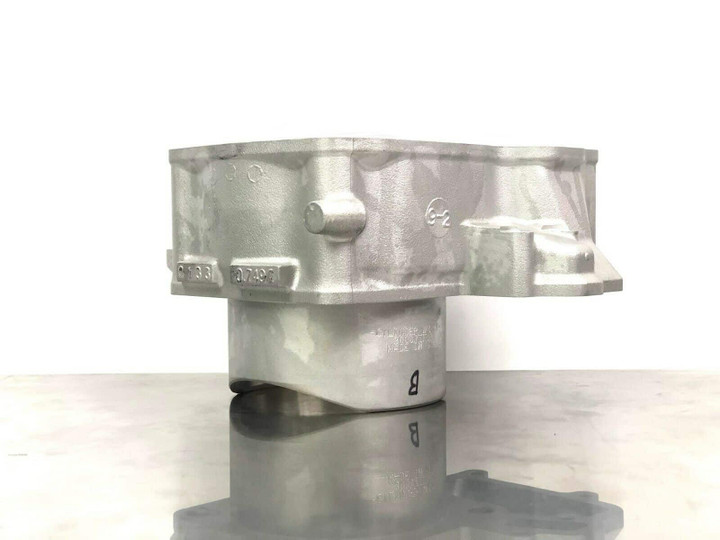 Kawasaki 2008-2012 Teryx 750 Cylinder (Rear)