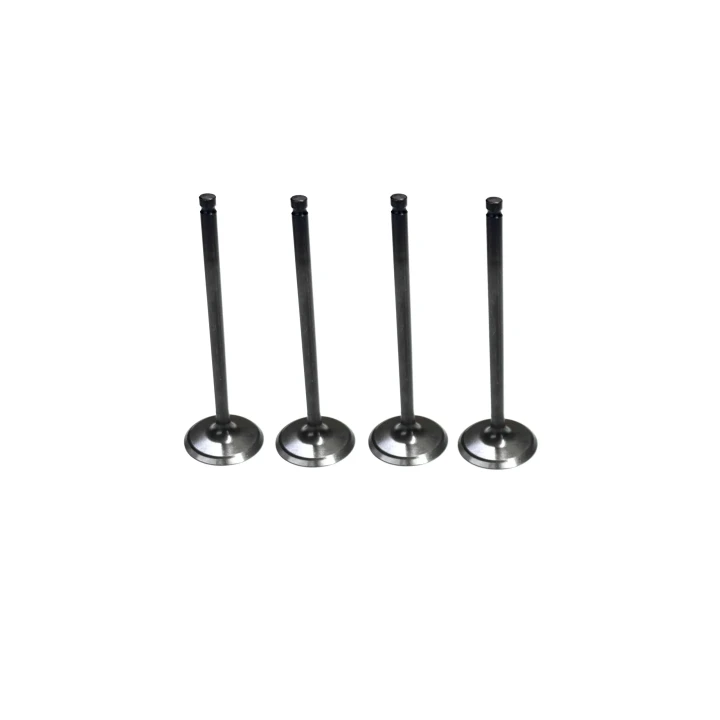 Kawasaki Teryx 750 KRF750 2013 Exhaust Valve Kit