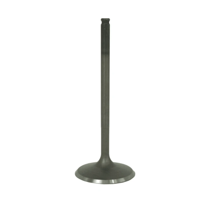 Polaris General XP 1000 Premium Sport Ultimate Intake Valve 2024-2026