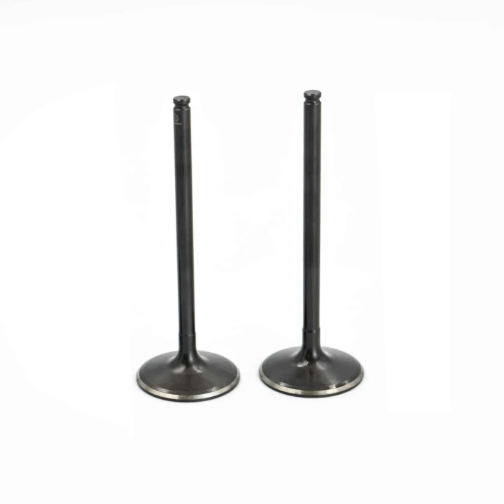 Polaris Ranger 1000 SOHC Intake Valve Kit
