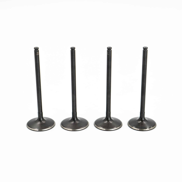 Polaris RZR 1000 Intake Valve Kit (2014-2023)  General/RZR
