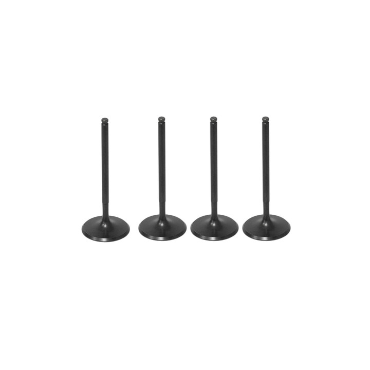 Polaris RZR XP 1000 2024-2026 Intake Valve Kit