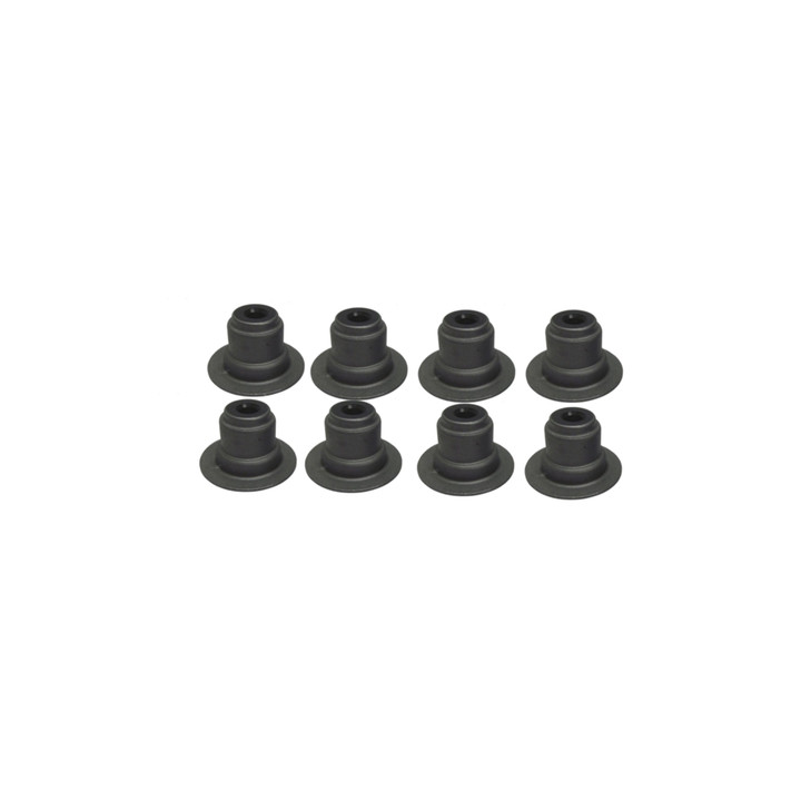 Polaris RZR XP 1000 Valve Stem Seal Kit (2024-2026)