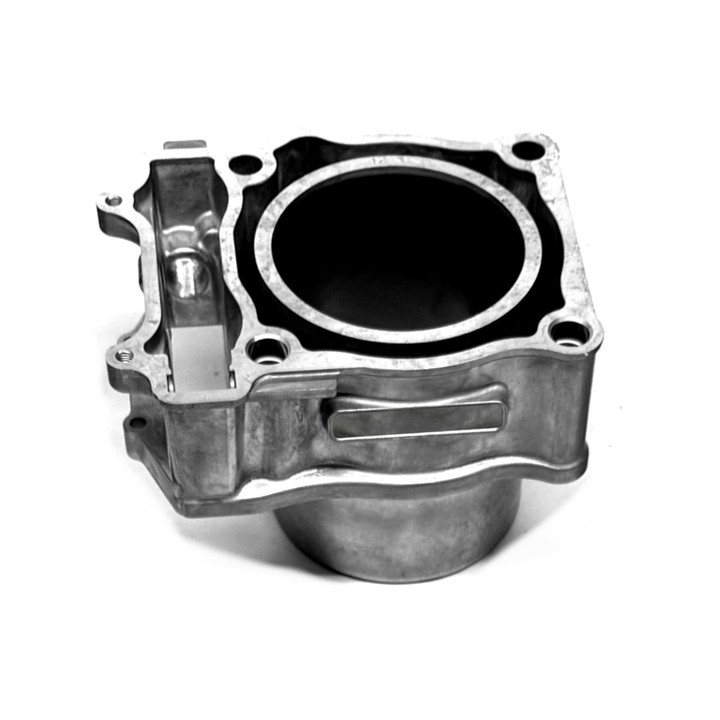 Polaris Sportsman 550 (09-14) Steel Sleeved STD Cylinder